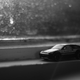 Illustration for article titled LWOP: Black And White